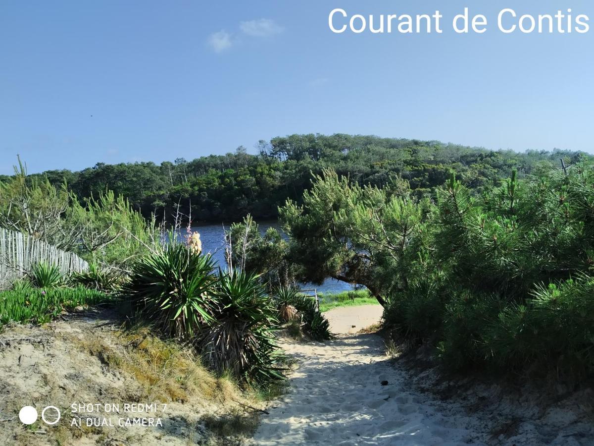 Chalet Camping Les Vignes Lit-et-Mixe Zewnętrze zdjęcie