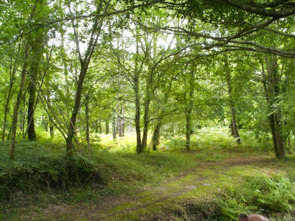 Chalet Camping Les Vignes Lit-et-Mixe Zewnętrze zdjęcie