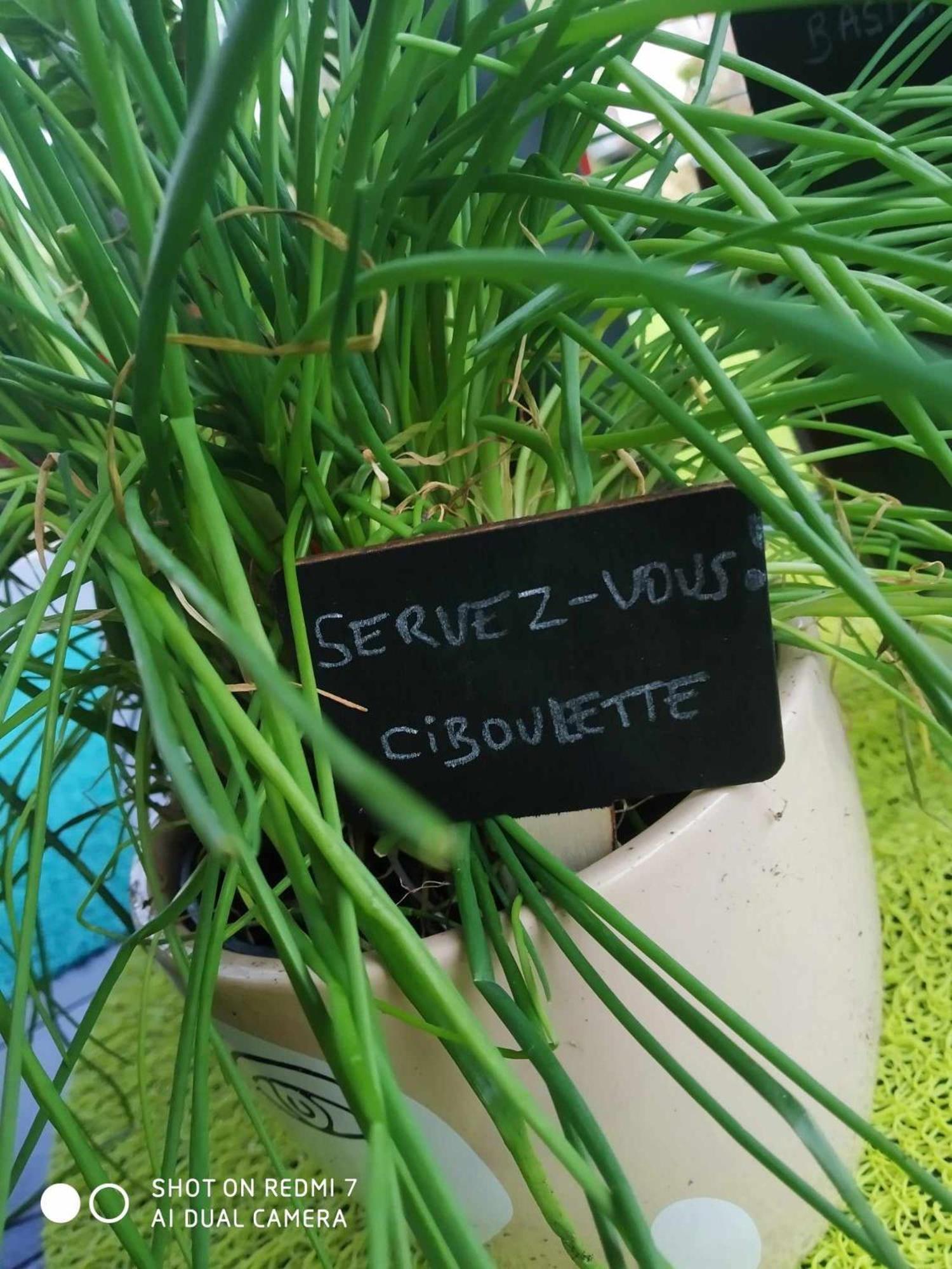 Chalet Camping Les Vignes Lit-et-Mixe Zewnętrze zdjęcie