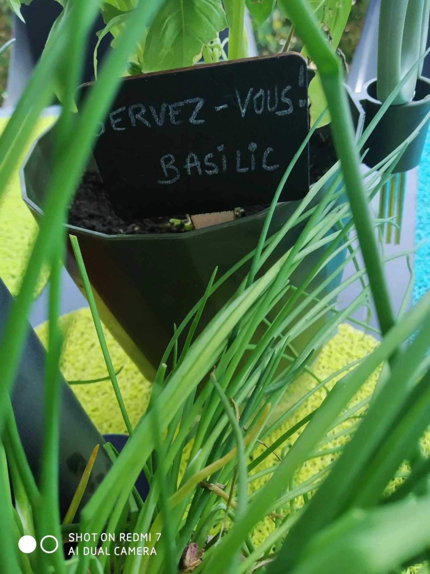 Chalet Camping Les Vignes Lit-et-Mixe Zewnętrze zdjęcie